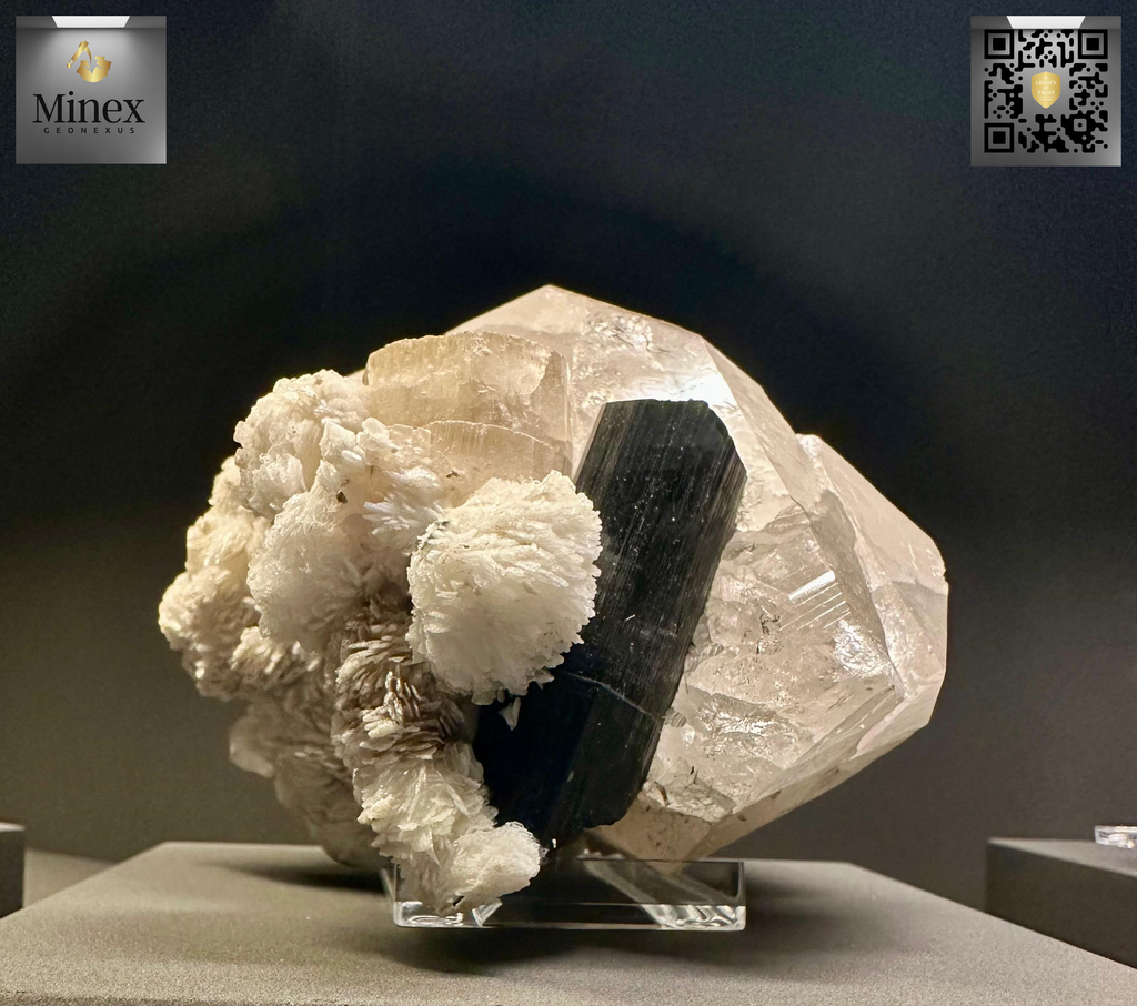Apitite Schorl Albite Quartz Matriz