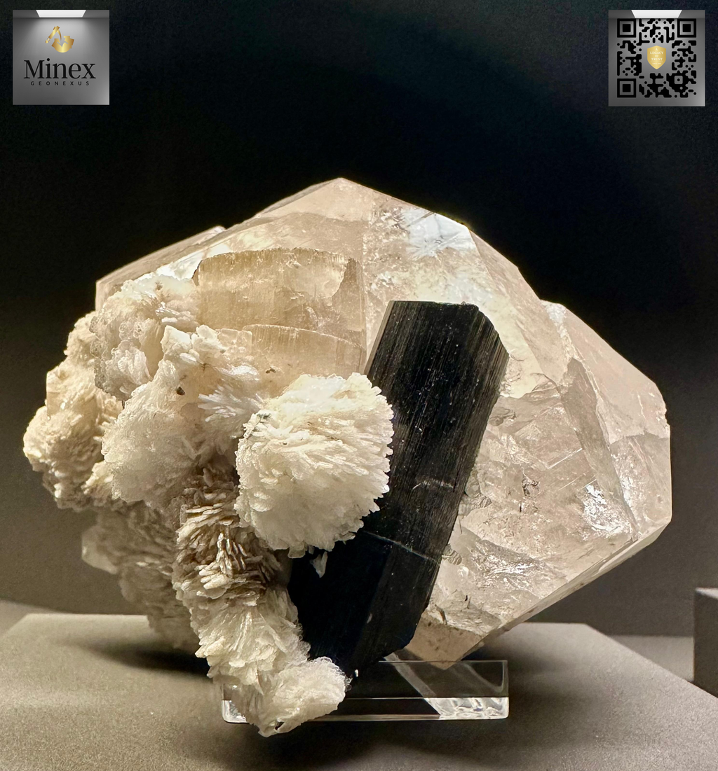 Apitite Schorl Albite Quartz Matriz
